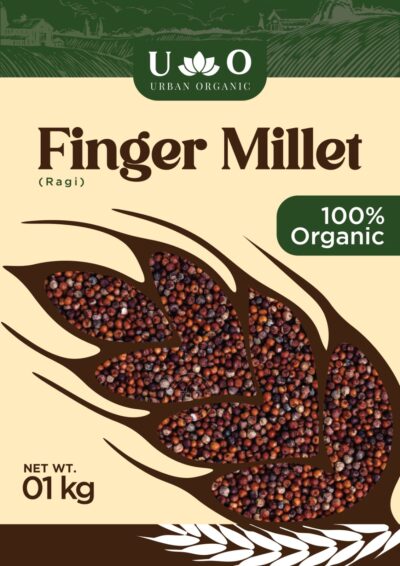 Finger Millet