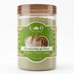 Urban Organic ProtoMeal Pro Pudina Chana Sattu 500g jar, a gut-friendly plant-based protein ready-to-drink premix