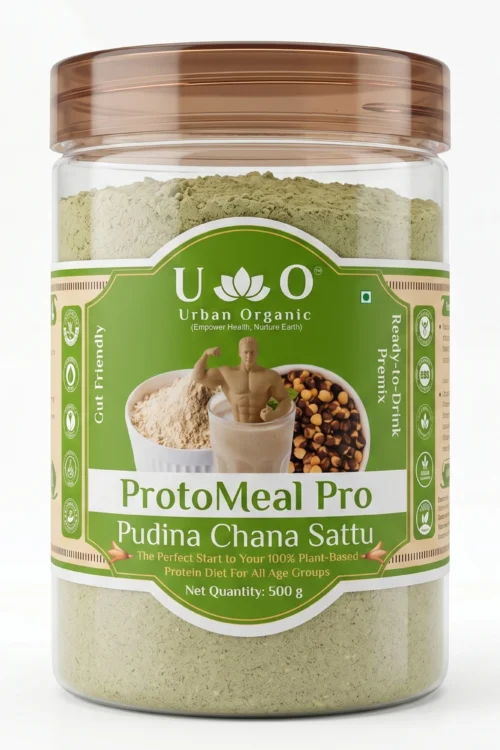 ProtoMeal Pro Pudina Chana Sattu Powder 500g | Mint Sattu Drink Mix | Roasted Gram Flour Sattu | Protein Sattu India | Cooling Indian Drink | Gluten Free Traditional Bihar Sattu