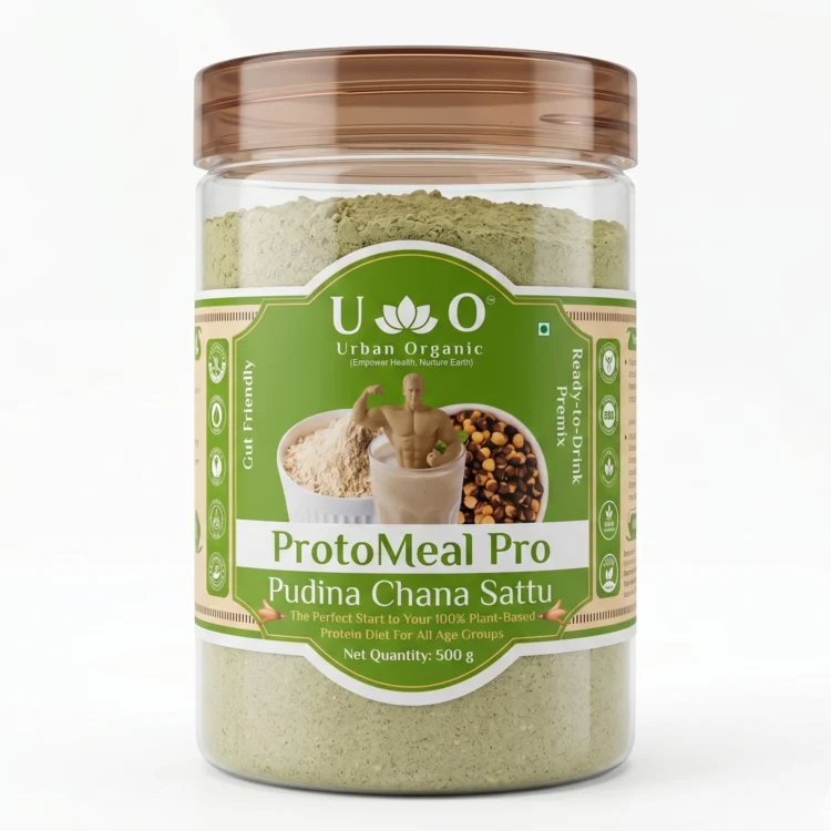 ProtoMeal Pro Pudina Chana Sattu Powder 500g | Mint Sattu Drink Mix | Roasted Gram Flour Sattu | Protein Sattu India | Cooling Indian Drink | Gluten Free Traditional Bihar Sattu