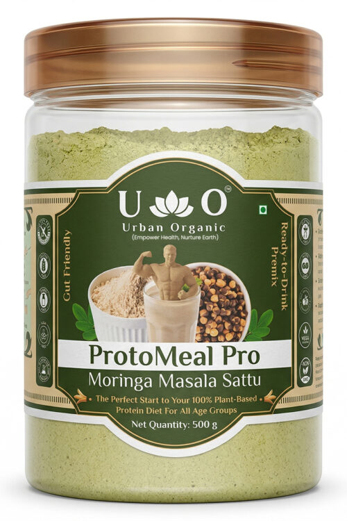 ProtoMeal Pro Moringa Masala Sattu 500g | Moringa Sattu Powder | High Protein Chana Sattu Drink Mix | Plant Protein Powder | Indian Superfood Sattu Beverage