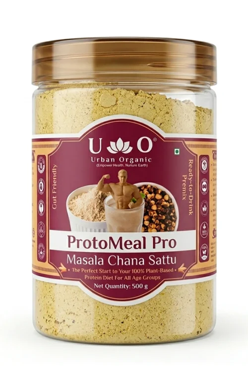 ProtoMeal Pro Masala Chana Sattu 500g | Instant Energy Drink | Roasted Gram Flour Sattu Drink Mix | Plant Protein Powder | Indian Superfood Sattu Beverage