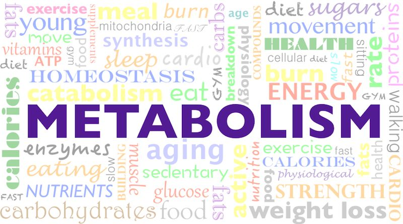 The Simple Guide to Energy: How to Boost Metabolism with Everyday Foods