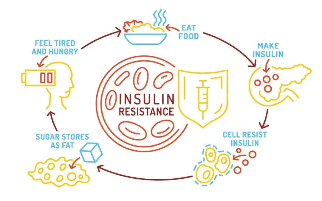 Why Eating the Exact Same Meal at Night Spikes Blood Sugar More Than in the Morning