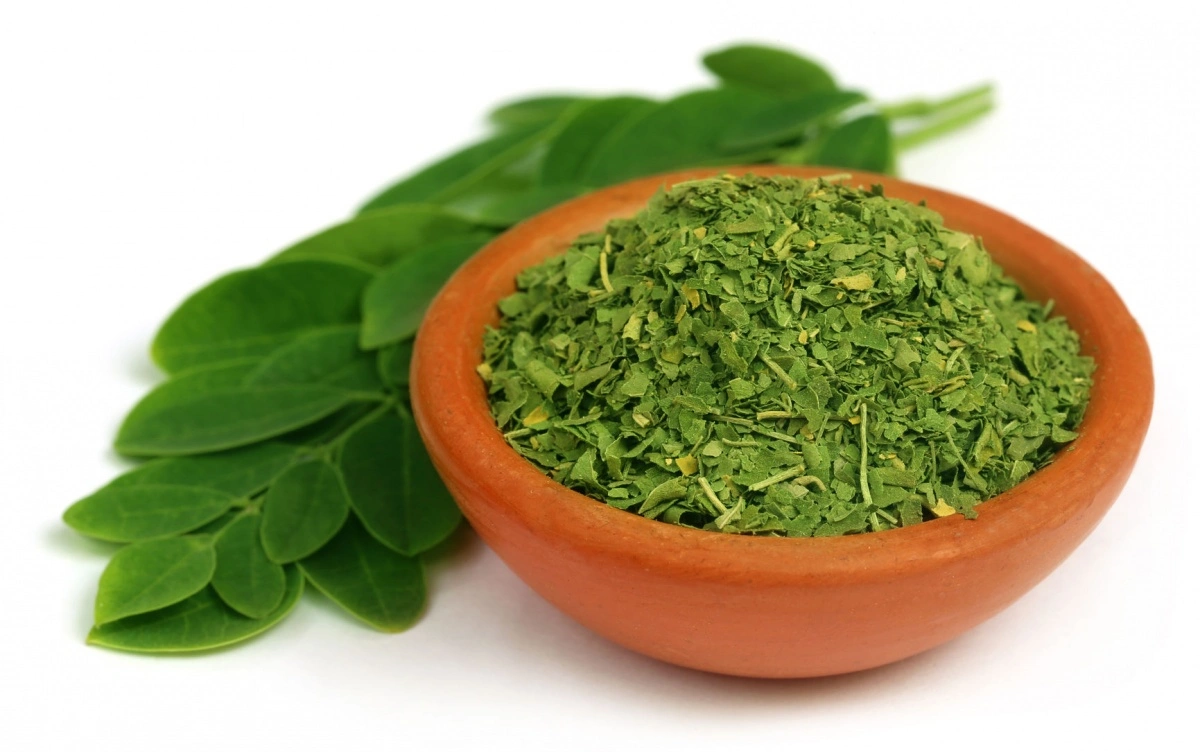 Moringa for Metabolic Youthfulness: A Practical Guide to Cellular Renewal